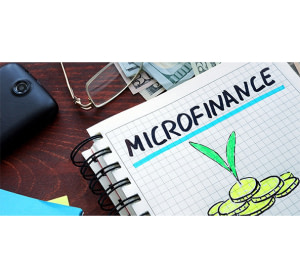Audit des microfinances