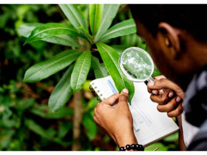 Formation en sécurité et environnement