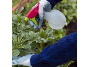 Traitement phytosanitaire