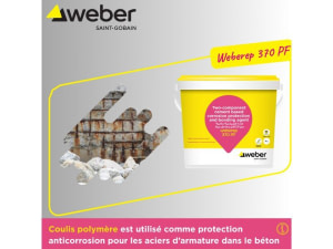 Weberep 370 PF