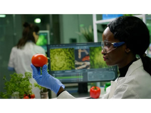 Agronomie et développement agricole