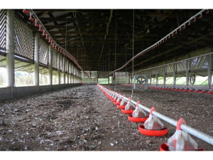 Mise en place d’infrastructures avicoles