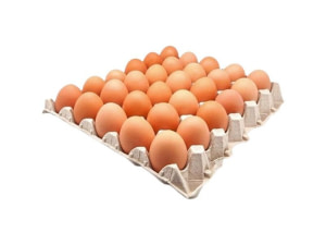 Vente d'oeufs fermiers