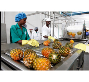 Transformation agroalimentaire