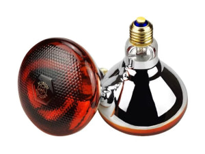 Ampoule Chauffante