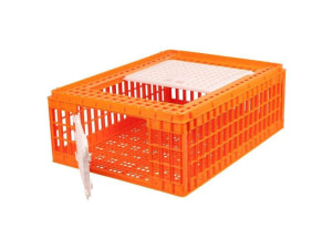 Cages de transport de poussins