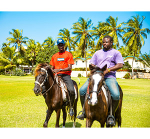 Équitation