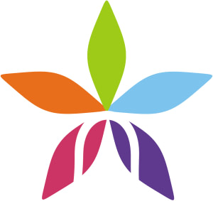 INNOVATION ET INTERMEDIATION DE SERVICE