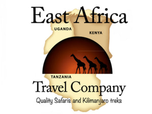 EAST AFRICA TRAVEL COMPANY