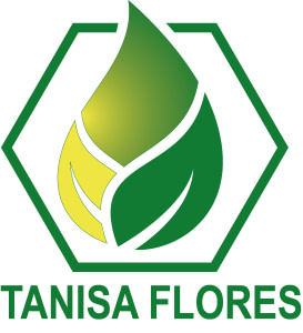TANISA FLORES