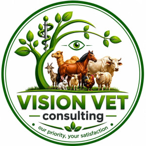 VISION VET CONSULTING