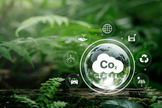 étude d’impact environnemental et social