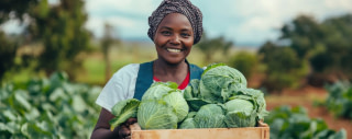 emploi dans l'agriculture au Bénin