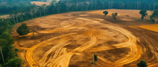 Tout savoir sur l'aménagement foncier en Côte d'Ivoire