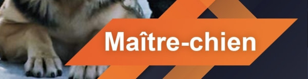 banner picture
