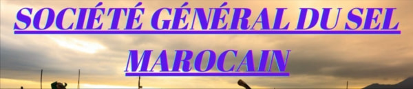 banner picture
