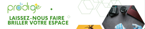 banner picture