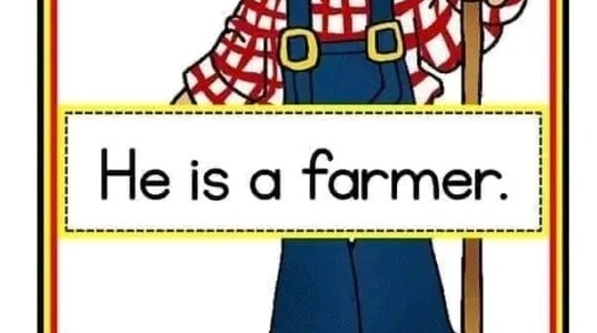 banner picture