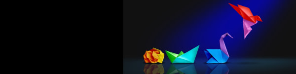 banner picture