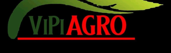 banner picture