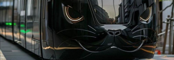 banner picture