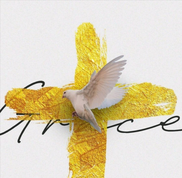 banner picture