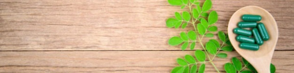 banner picture