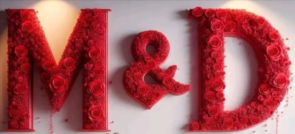 banner picture