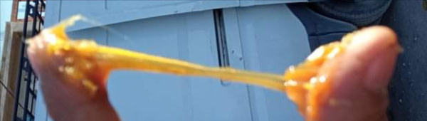 banner picture
