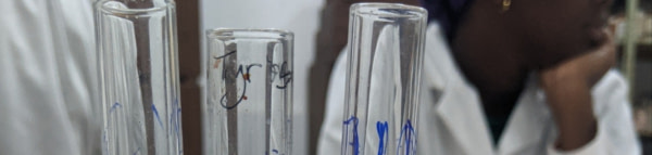 banner picture