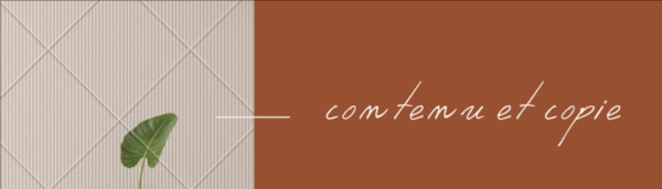 banner picture