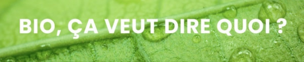 banner picture