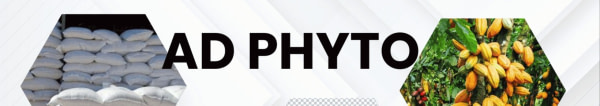banner picture