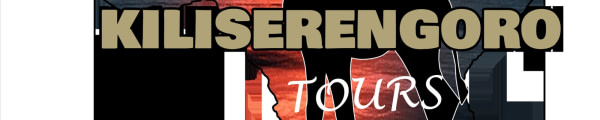 banner picture