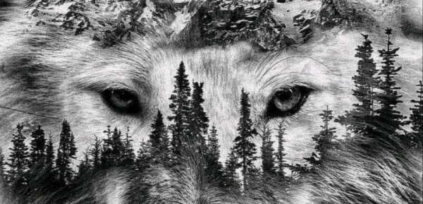 banner picture