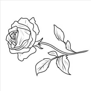 banner picture