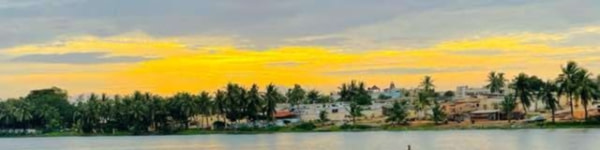 banner picture
