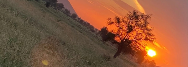 banner picture