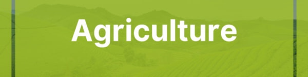 banner picture