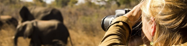 banner picture