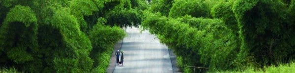 banner picture