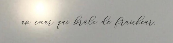 banner picture
