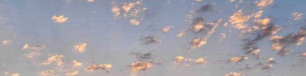 banner picture