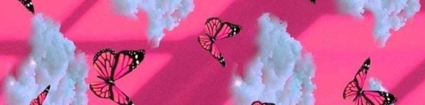 banner picture