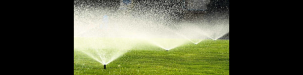 banner picture