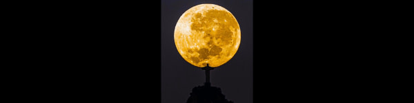 banner picture