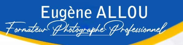 banner picture