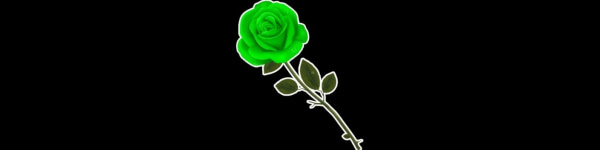 banner picture