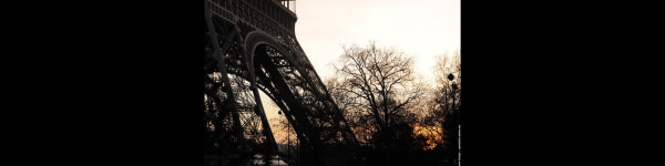 banner picture