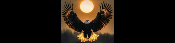 banner picture